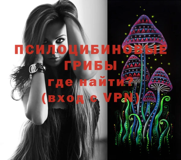 Альфа ПВП Алзамай