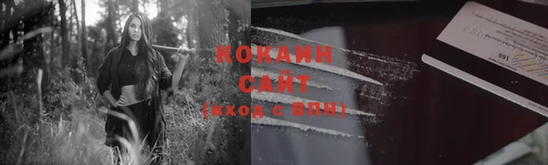 стаф Сатка