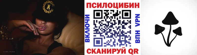 Псилоцибиновые грибы мицелий  Гвардейск 